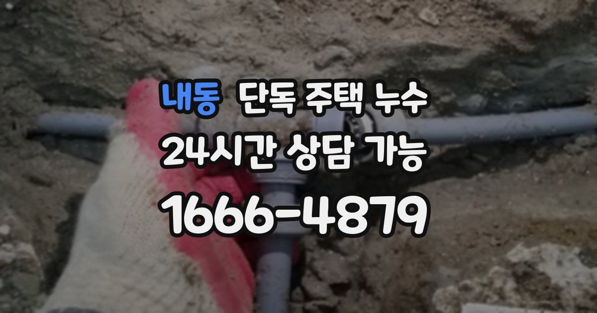 내동 단독 주택 누수