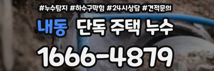 내동 단독 주택 누수