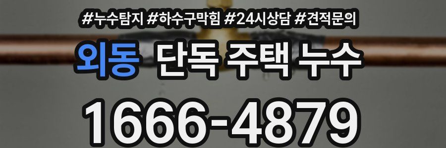 외동 단독 주택 누수