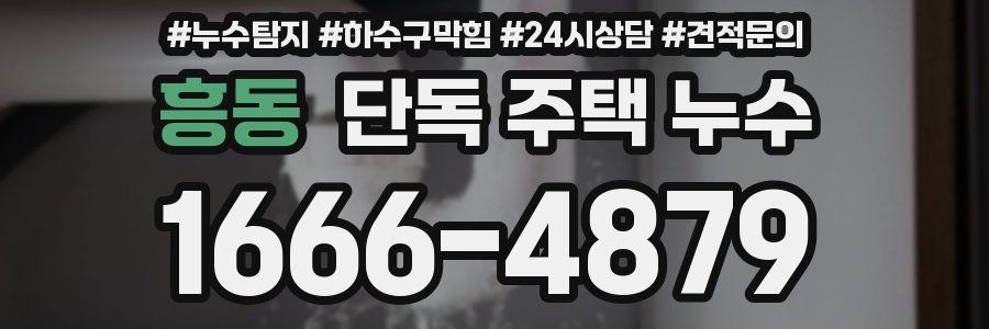 흥동 단독 주택 누수