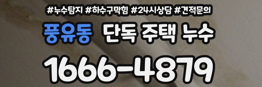 풍유동 단독 주택 누수