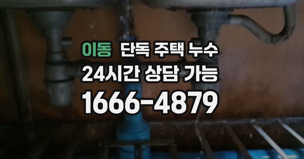 이동 단독 주택 누수