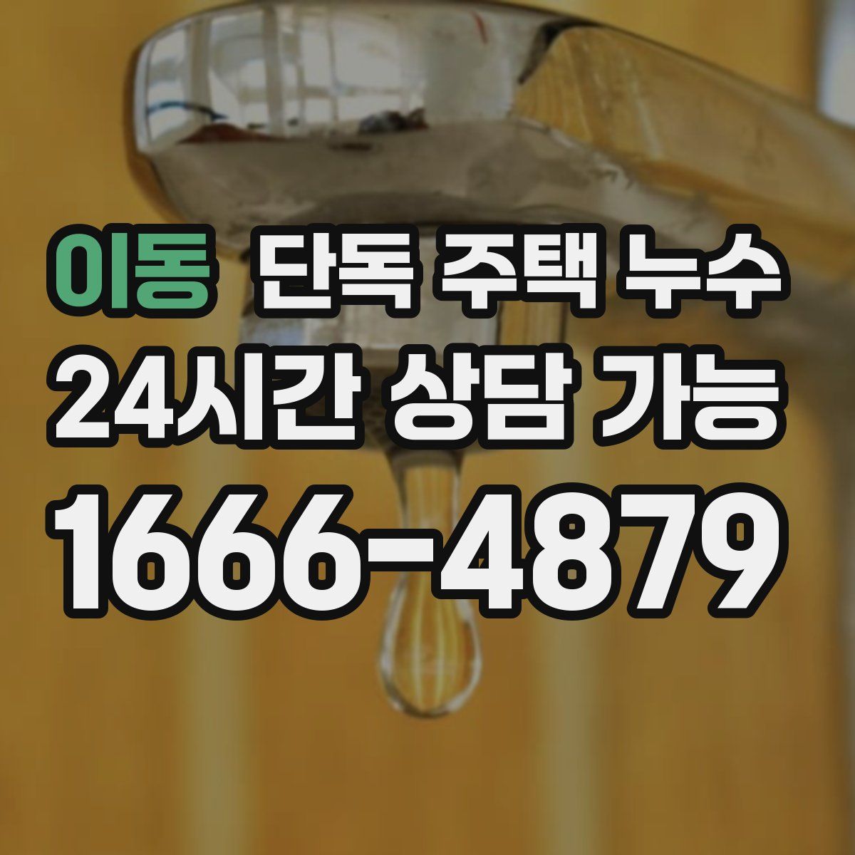 이동 단독 주택 누수