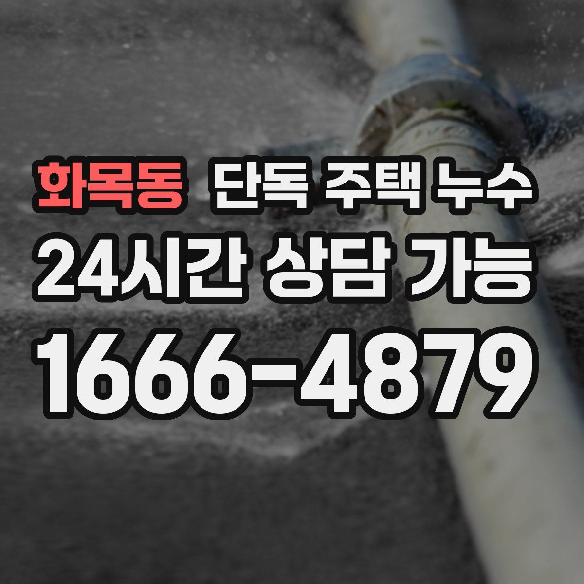 화목동 단독 주택 누수