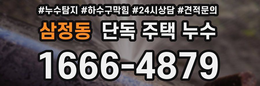 삼정동 단독 주택 누수