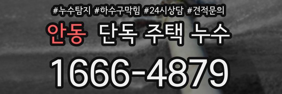 안동 단독 주택 누수