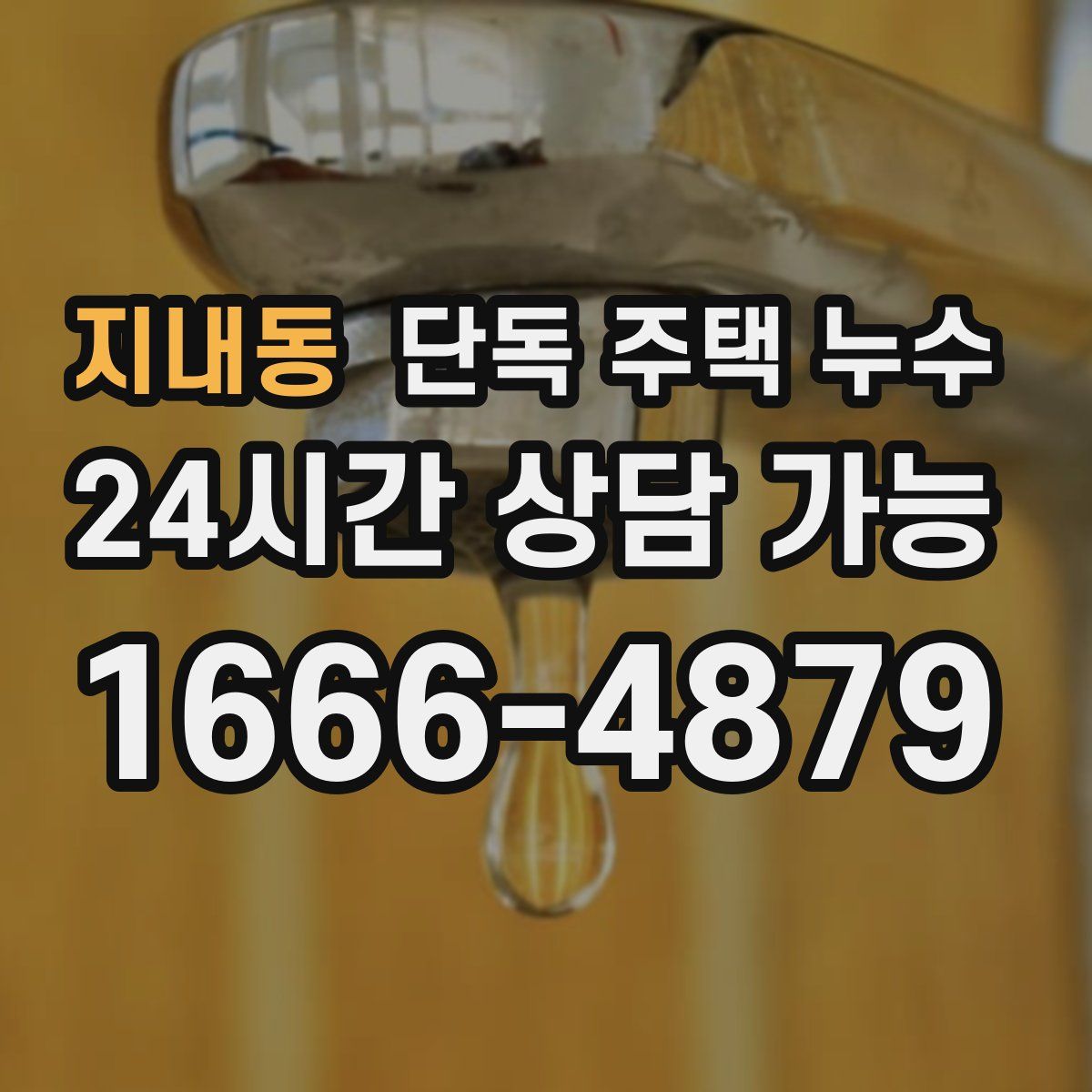 지내동 단독 주택 누수