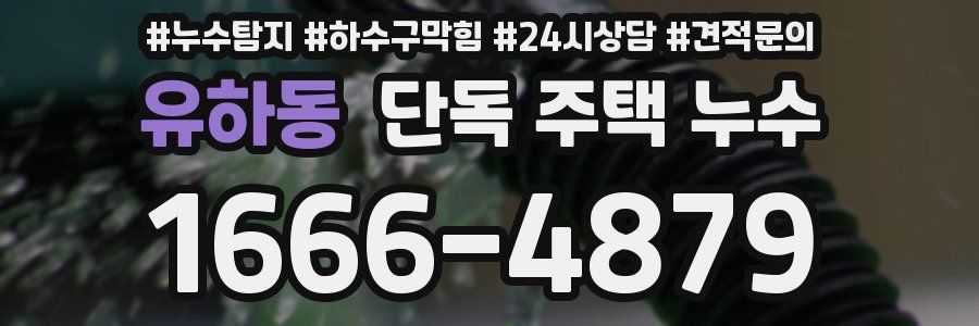 유하동 단독 주택 누수