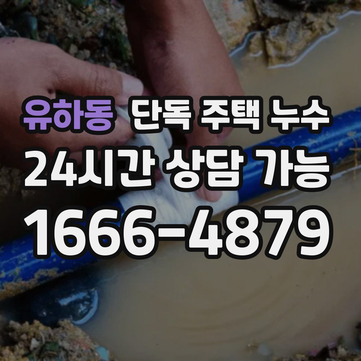 유하동 단독 주택 누수