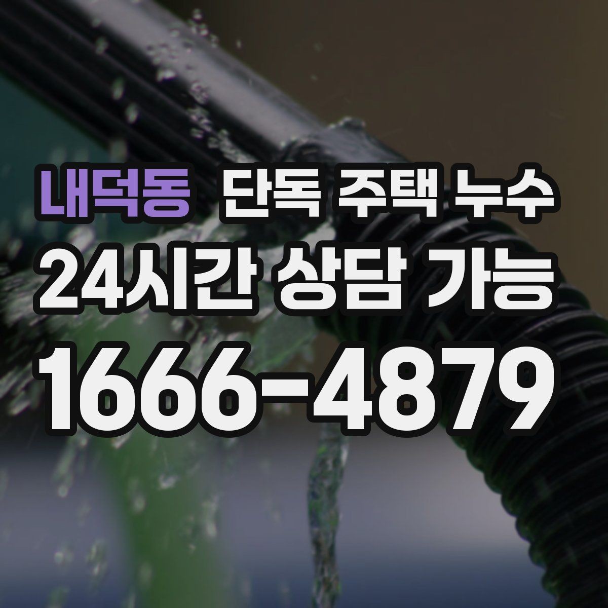 내덕동 단독 주택 누수 창고와 본채 연결부에서 새는 경우