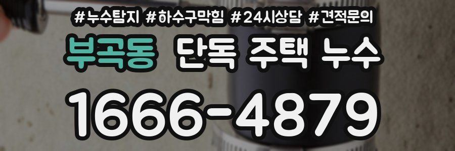 부곡동 단독 주택 누수