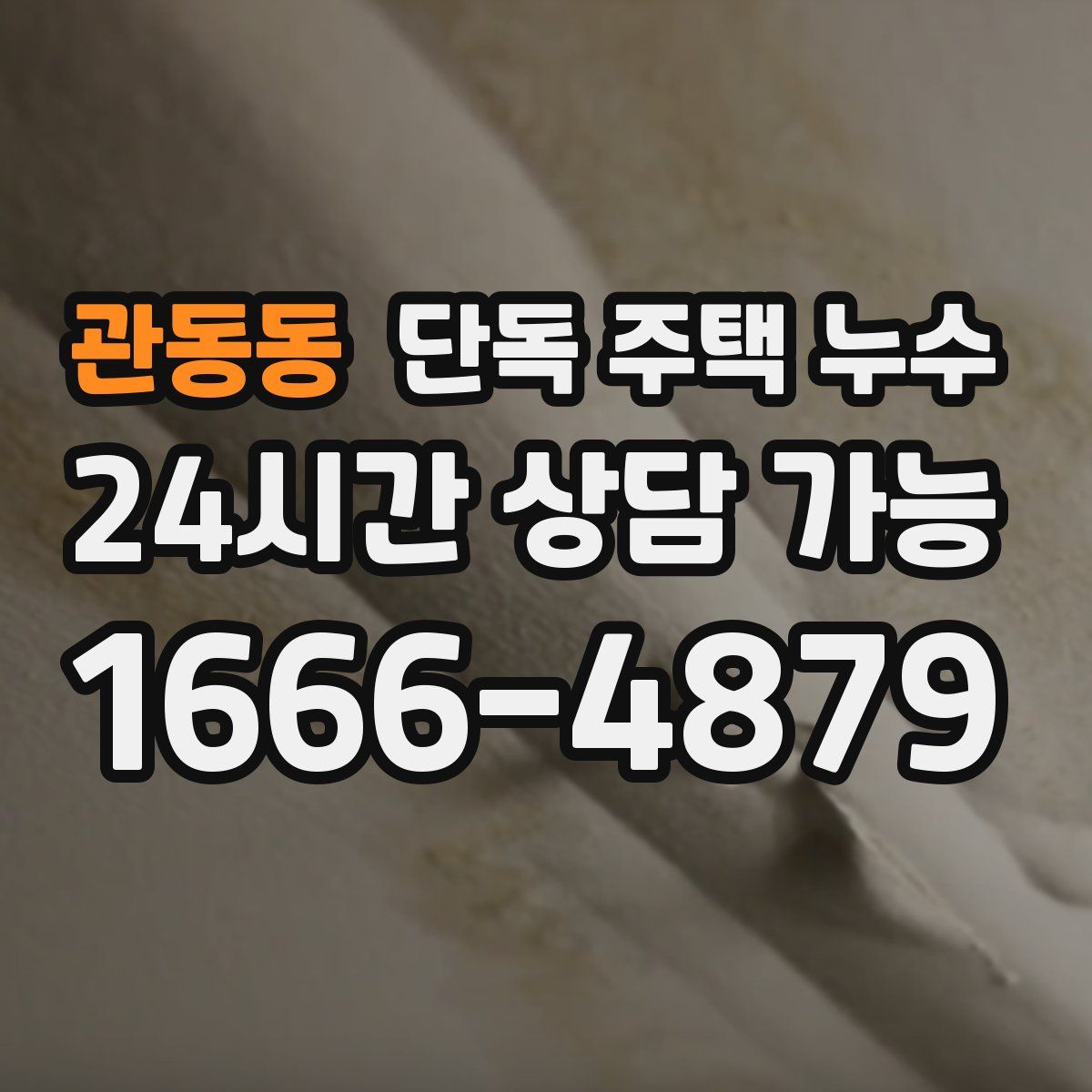 관동동 단독 주택 누수