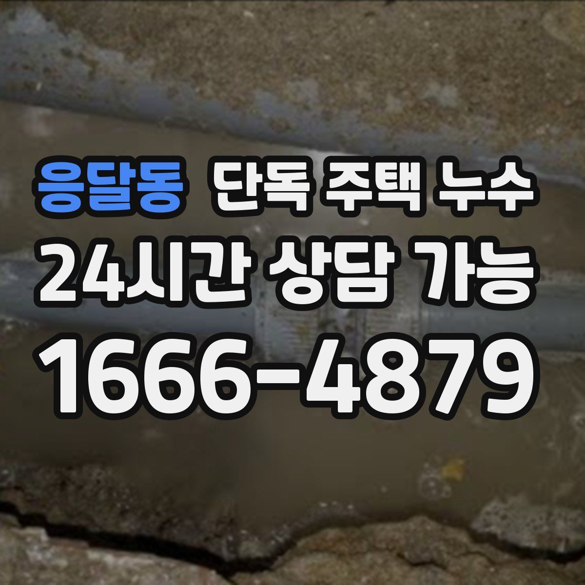 응달동 단독 주택 누수