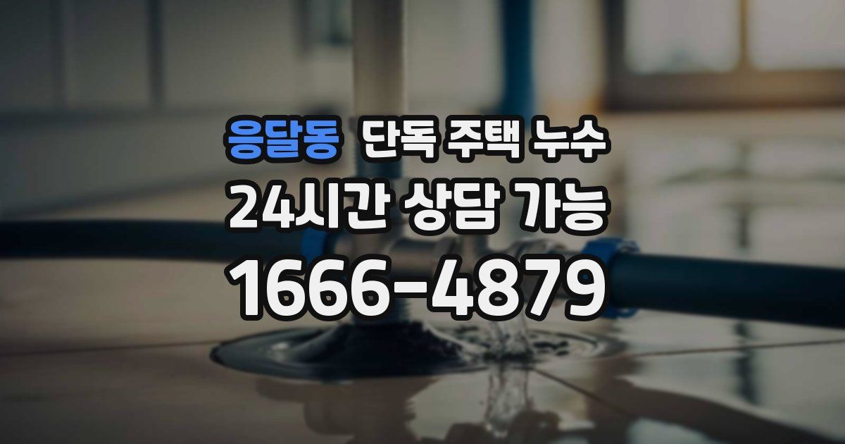 응달동 단독 주택 누수