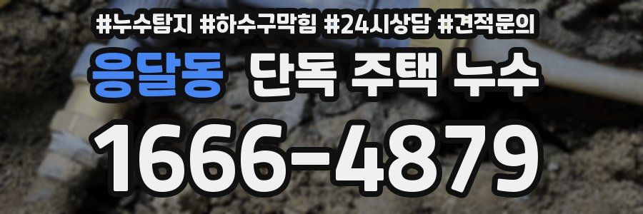 응달동 단독 주택 누수