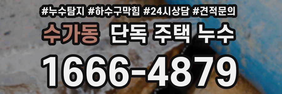 수가동 단독 주택 누수