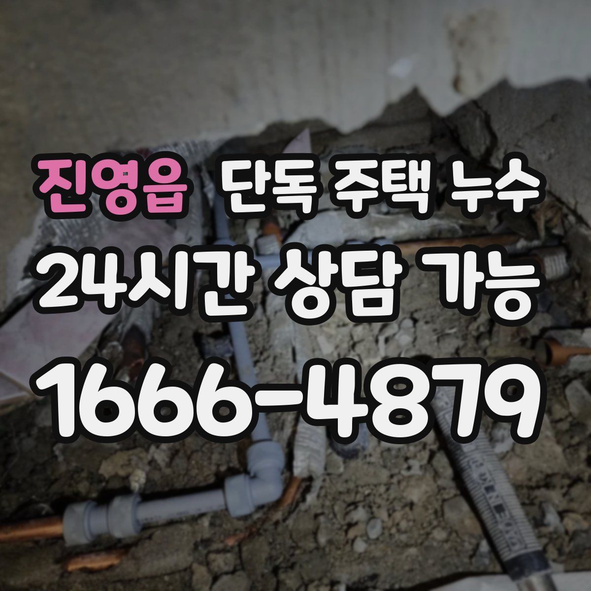 진영읍 단독 주택 누수