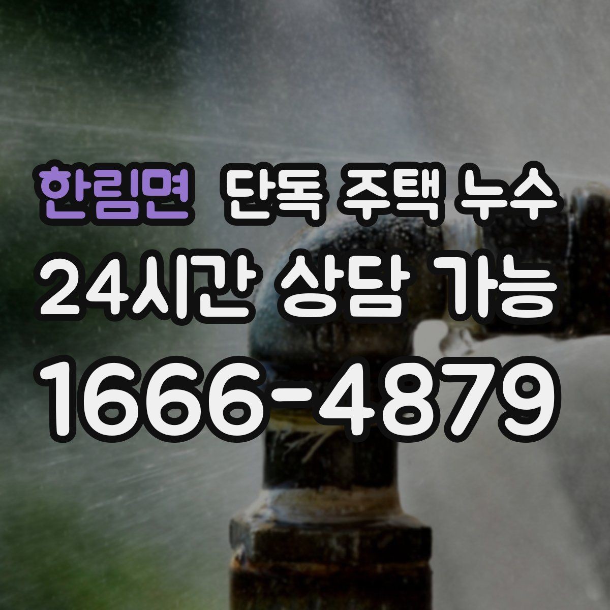한림면 단독 주택 누수 외벽 타일·마감재 들뜸이 신호일 때