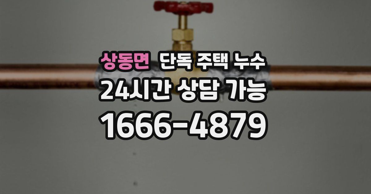 상동면 단독 주택 누수