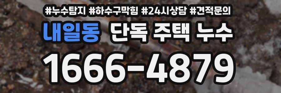 내일동 단독 주택 누수