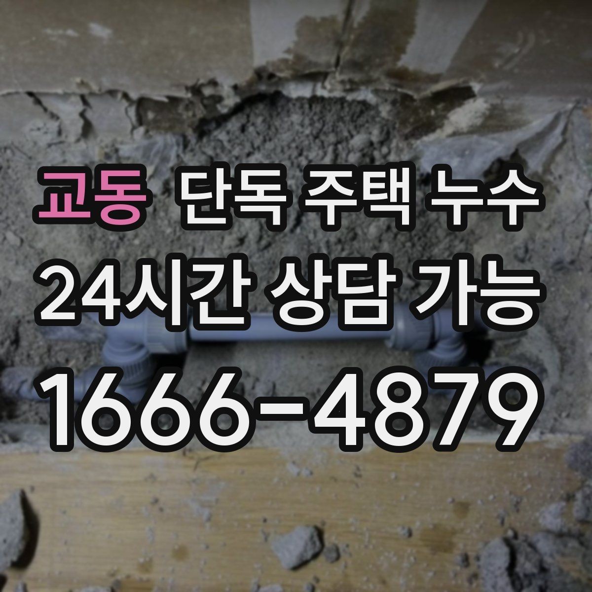 교동 단독 주택 누수 평소에도 습한 누수 진단 포인트