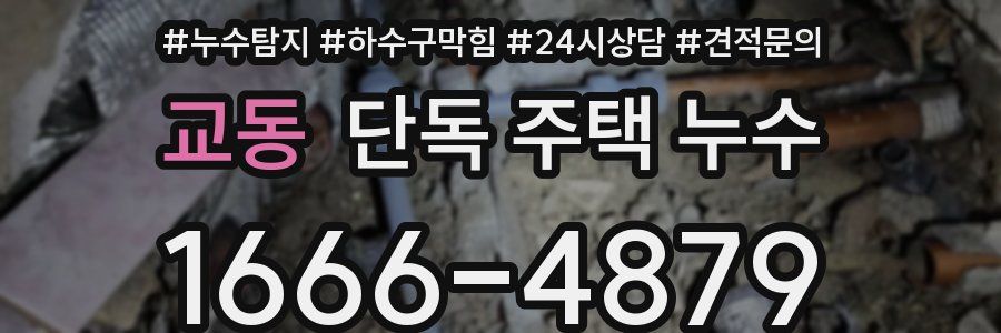 교동 단독 주택 누수