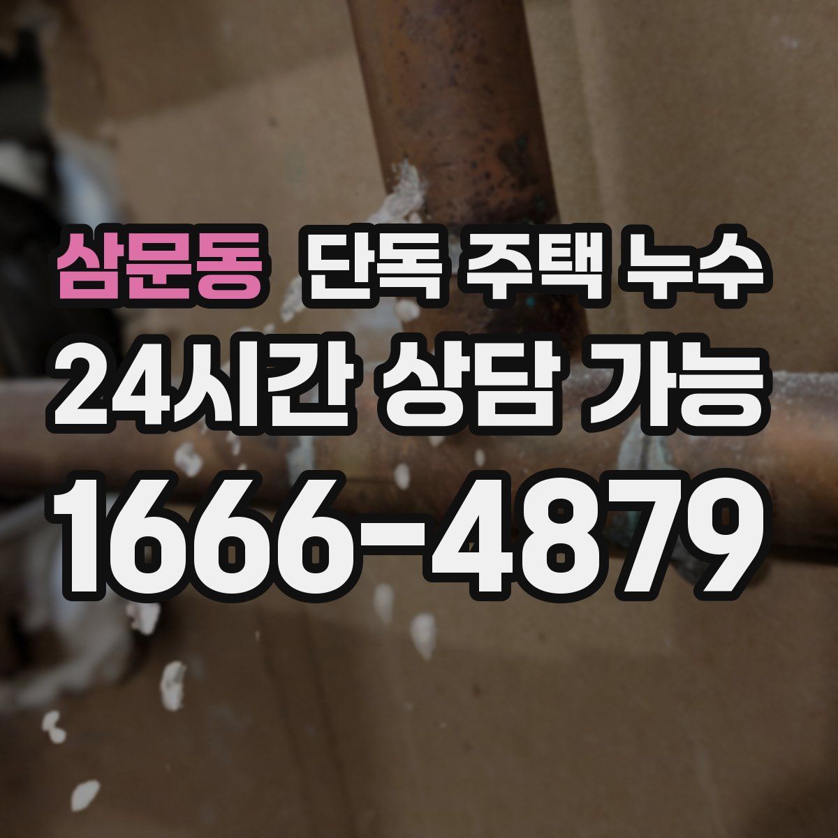 삼문동 단독 주택 누수