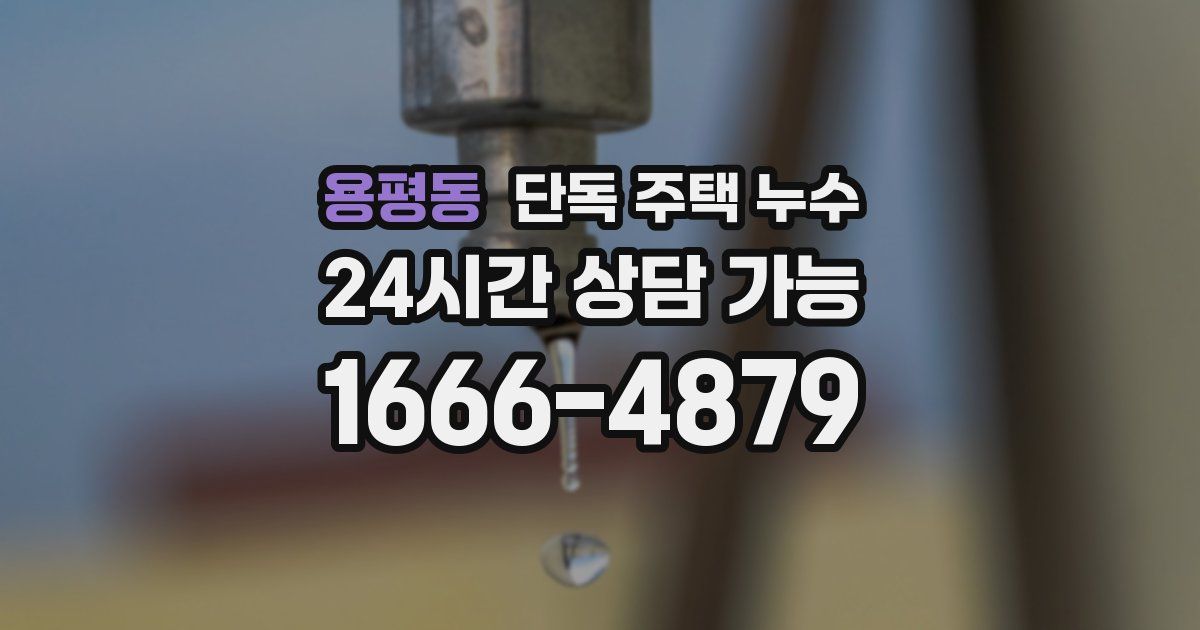용평동 단독 주택 누수