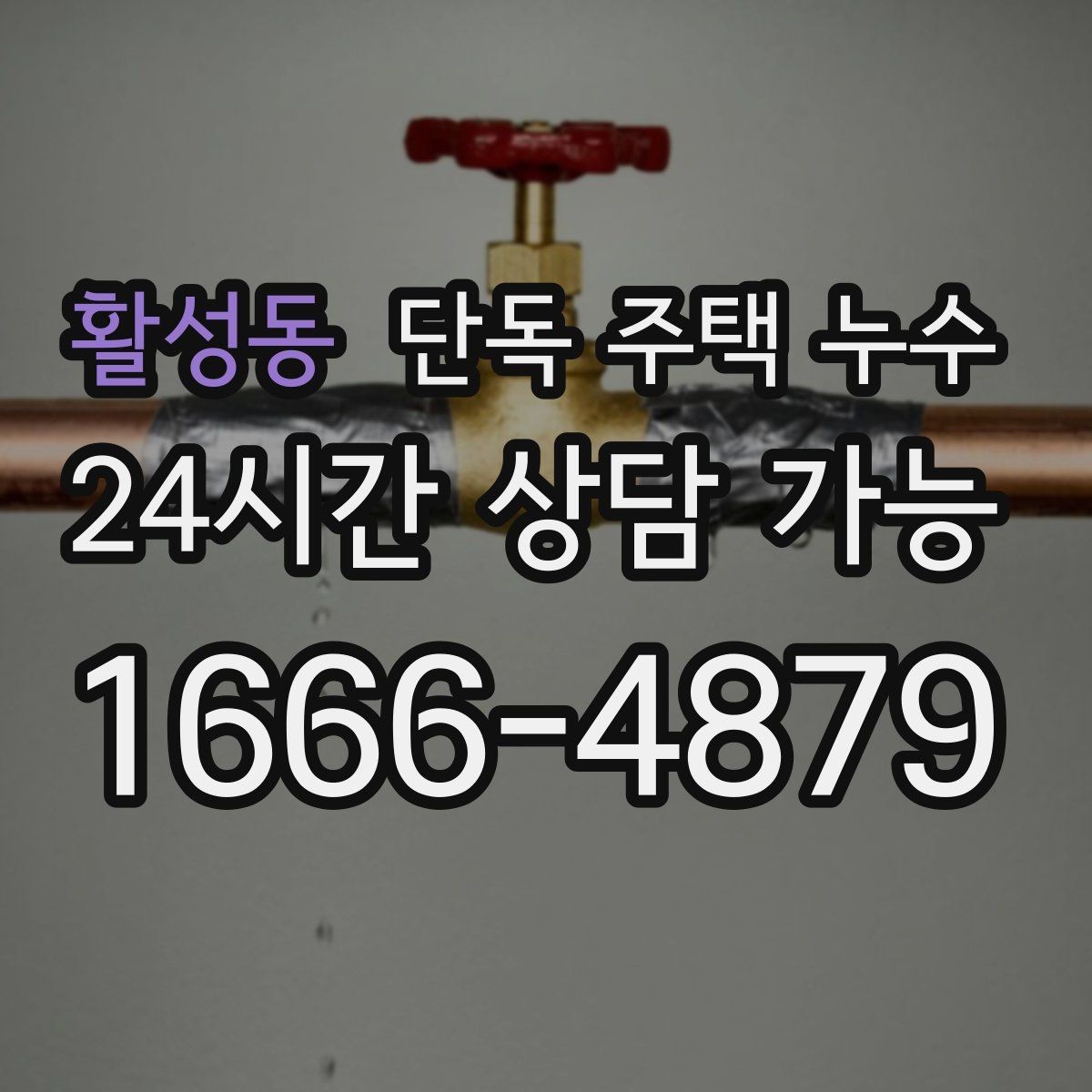 활성동 단독 주택 누수 천장 석고보드 처짐이 위험한 이유