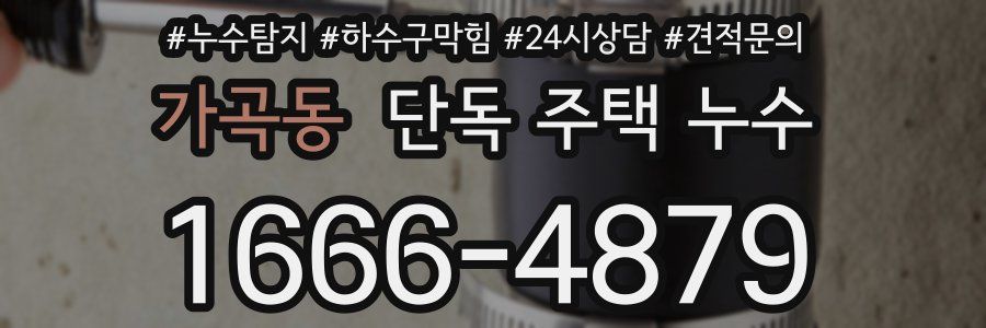 가곡동 단독 주택 누수