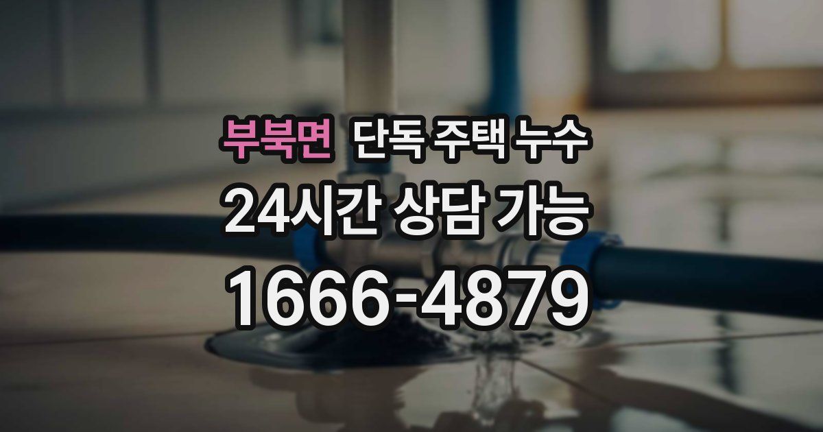 부북면 단독 주택 누수