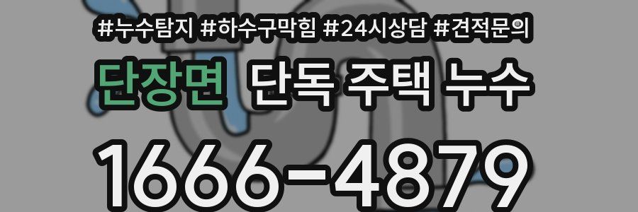 단장면 단독 주택 누수