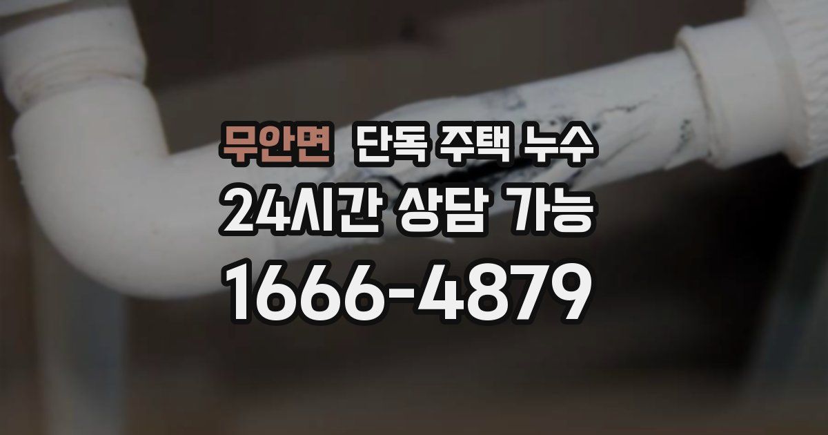 무안면 단독 주택 누수