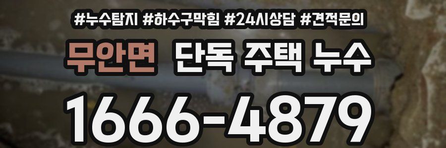 무안면 단독 주택 누수