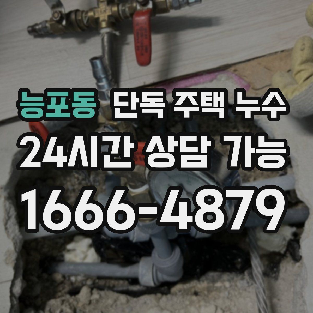 능포동 단독 주택 누수 벽 안쪽 습기 잡는 방법은 무엇일까