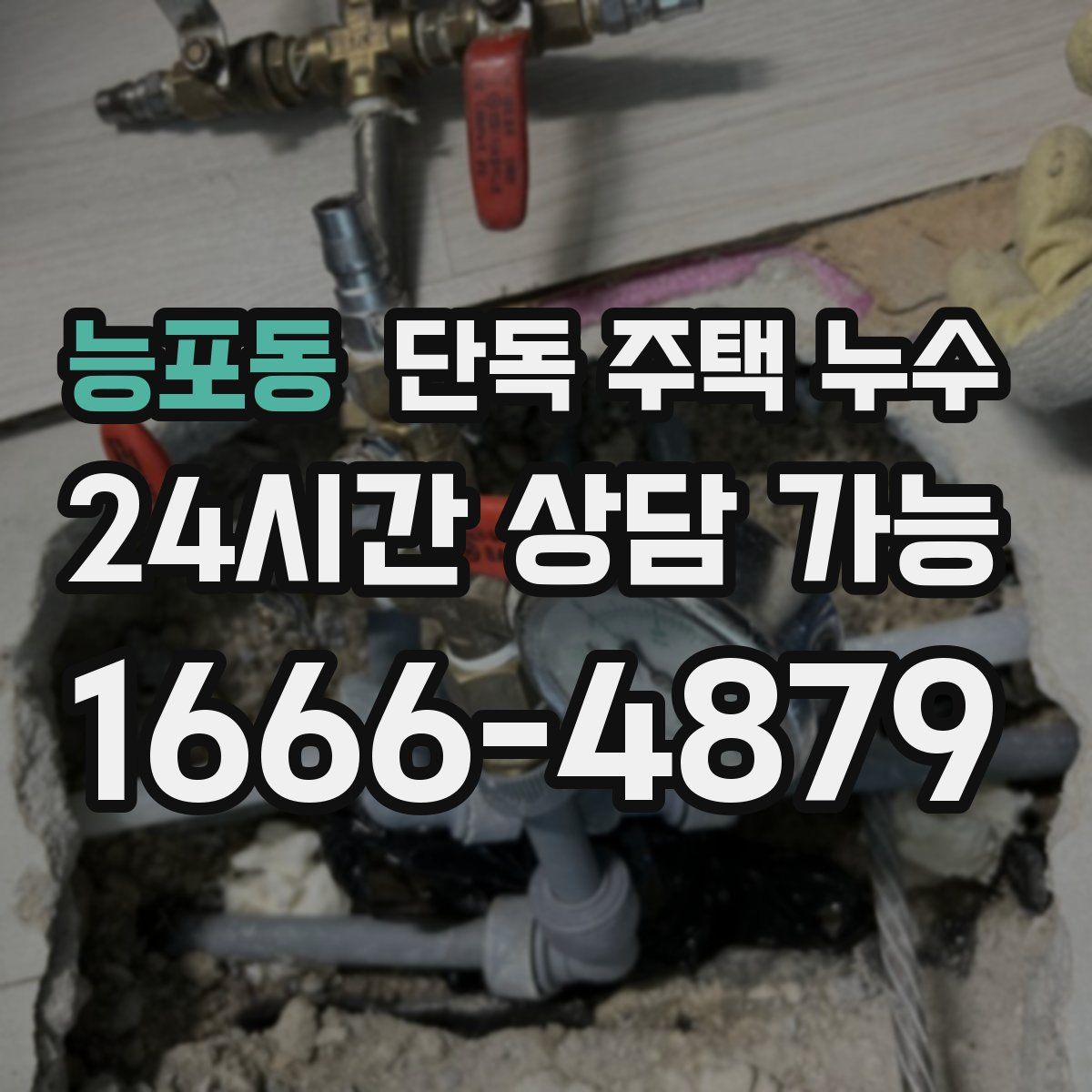 능포동 단독 주택 누수