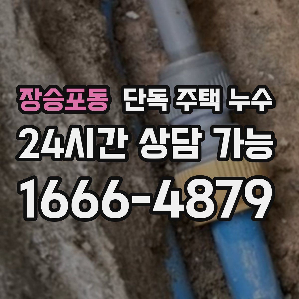 장승포동 단독 주택 누수 담장 쪽 물고임이 벽으로 스며드는 경우