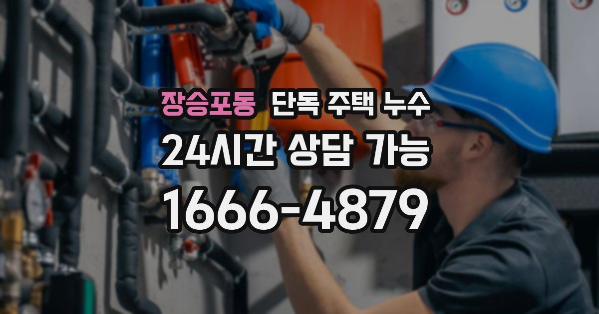 장승포동 단독 주택 누수