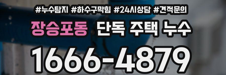 장승포동 단독 주택 누수