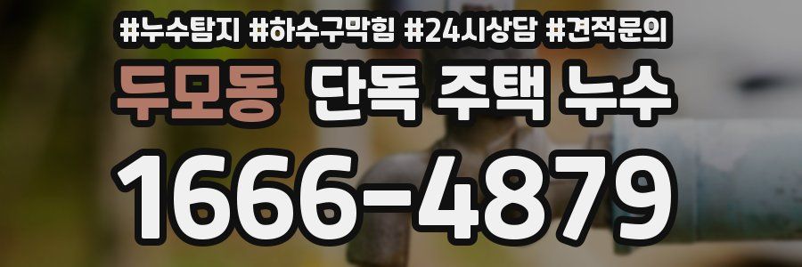 두모동 단독 주택 누수