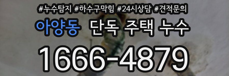아양동 단독 주택 누수