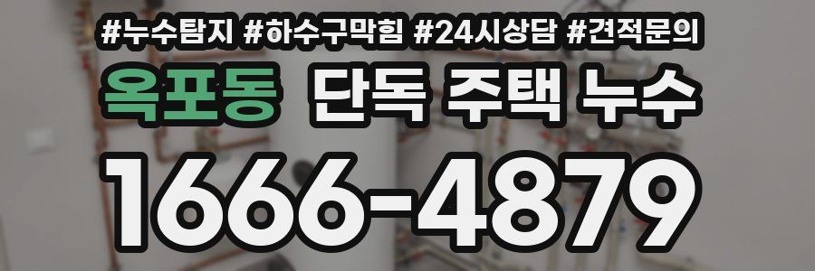 옥포동 단독 주택 누수