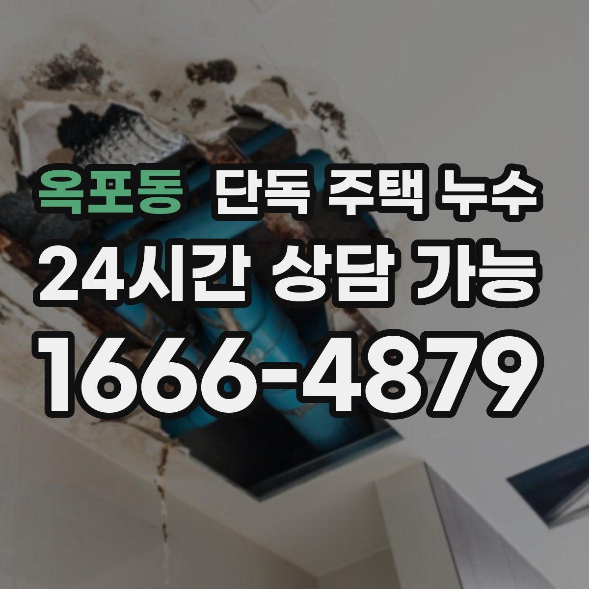 옥포동 단독 주택 누수