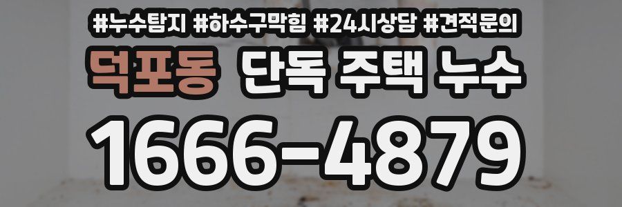 덕포동 단독 주택 누수