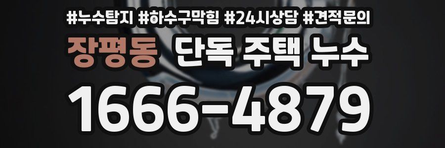 장평동 단독 주택 누수