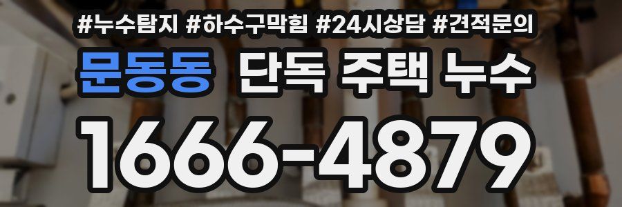 문동동 단독 주택 누수