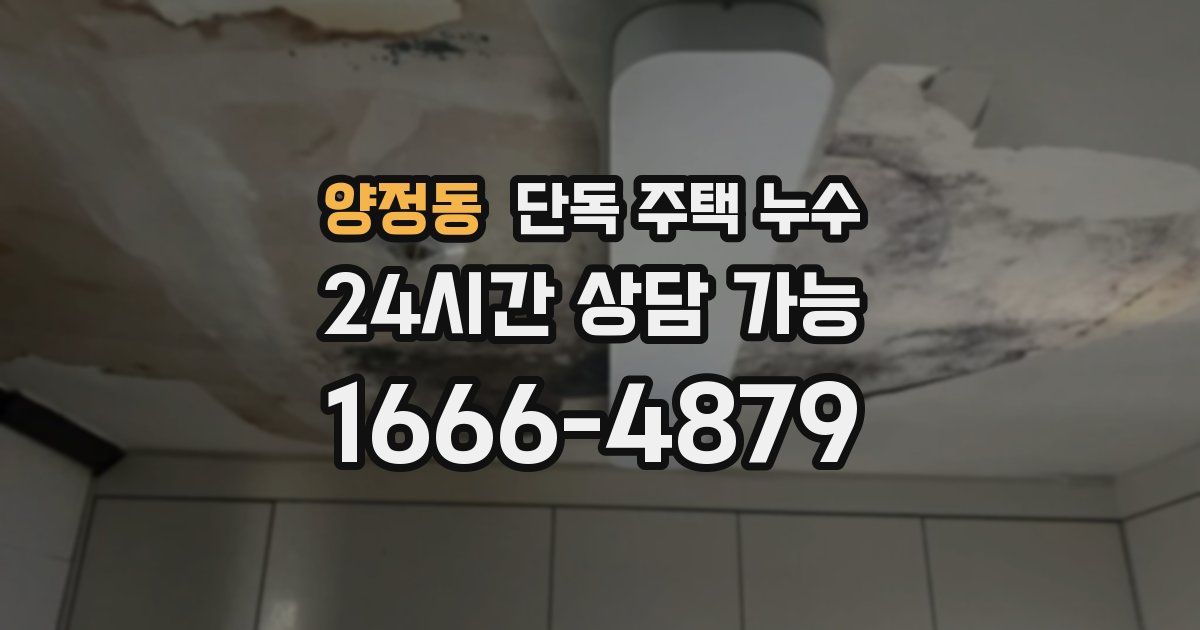 양정동 단독 주택 누수