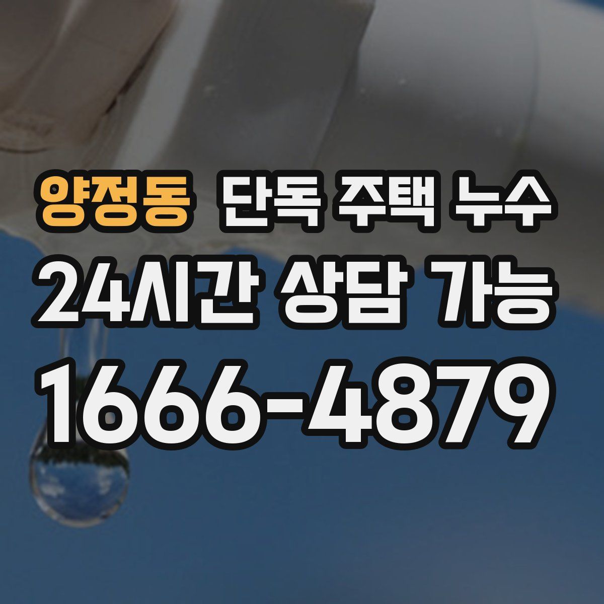 양정동 단독 주택 누수