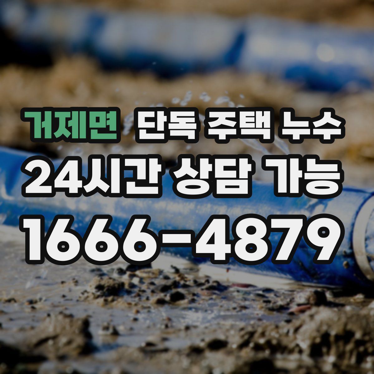 거제면 단독 주택 누수