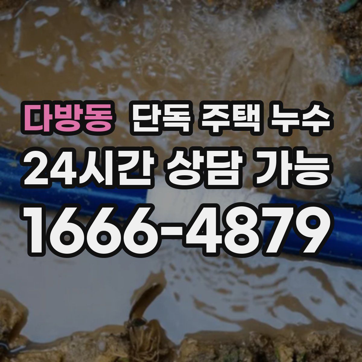 다방동 단독 주택 누수